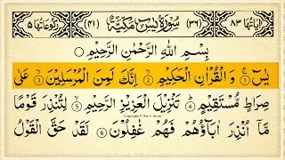 Surah Yasin (Yaseen) Full With Arabic Text | Sheikh Alaa Aql | Ep - 040 #surahyaseen