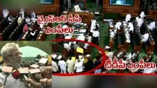 Lok Sabha Concern Continues: YSRCP MPs Protest Over Special Status For AP - Watch Exclusive
