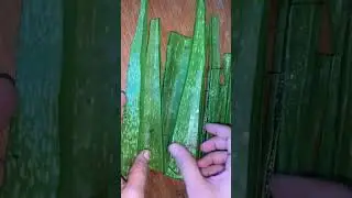 आप अलोबेरा का इस्तेमाल कैसे कर सकते हैं #cookhealthywithritu  #aloevera 