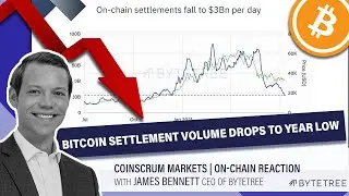 Bitcoin Settlement Volume Drops To A Year Low | Coinscrum On-Chain Reaction w/ James Bennett