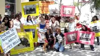 Elite Animals in West Hollywood May 09th Anti Puppy Mill Protest