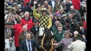 2019 Cheltenham Gold Cup