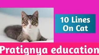 10 Lines on Cat  in English || Few Lines On Cat in English ||Pratignya education