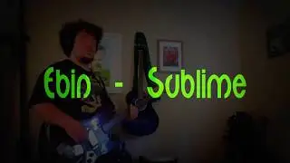 Ebin - Sublime bass cover!