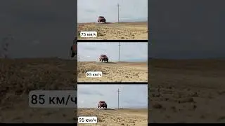Летающий Tank 300 с подвеской K-Man FM58 #tank300 #танк300 #kman