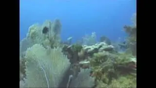 Waterways: Exploring the Dry Tortugas