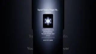 Signal  Noise x Forget My Name