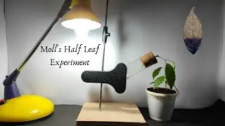 Moll's Half Leaf Experiment