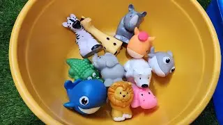 Wild & Wonderful Animals! Fun Facts for Preschoolers|Animal toys in water