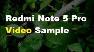 Redmi Note 5 Pro Camera Sample - Slow Motion Video  ( No Edit )
