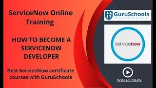 Topic Service Now developer introduction