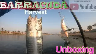 Jeddah Fishing Adventure 5
