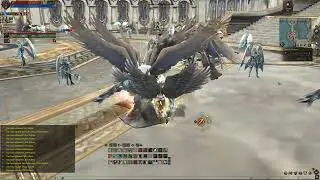 Lineage 2 NA CROW server, fighting Angels in Heavenly Tower, day 35