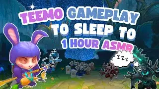 FALL ASLEEP To 1 Hour Of TEEMO TOP LANE vs MORDEKAISER | Season 16 Ranked Sounds | SleepyQueue