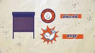 Roller Shutters for Windows | Smart & Secure Solution by Expert Automation BD