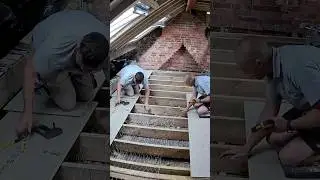 This Mesh Could Save Your LIFE!🏗️🐑 #Insulation #Construction #Dormer #Home #HomeExtension