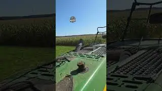 John Deere 7950 i mit Puma 220 Maissilage🌽🏁