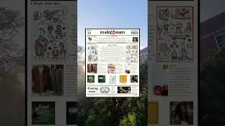 READY2START NEWSLETTER ISSUE:13