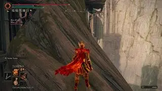 1LastCanary Invades with One Eyed Shield on Leyndell Roots