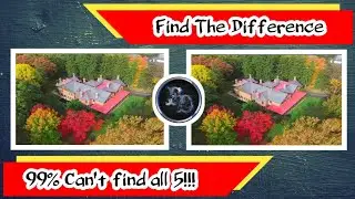 Spot The Difference | Find Five Differences | Picture Puzzle |