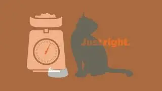 Weight Management for Pets