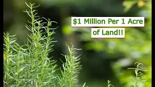 10 Ways to Turn 1 Acre of Land into $1 Million | Smart Agri Hub