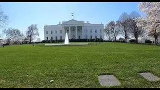 Discover Washington, DC: A City of History, Culture, and Surprises!