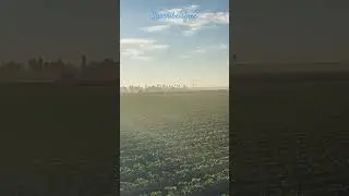 AGRICULTURA 🧑&zwj;🌾 EN YUMA ARIZONA USA 🇺🇸