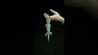 Укус токайского геккона, часть 2