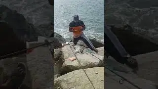 fishing starting #azheekal #kollam #shorts #kochi #fishingvideo part 2