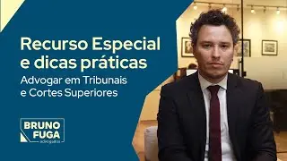 Recurso Especial e dicas práticas. Advogar em Tribunais e Cortes Superiores