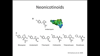 Apimondia 2019 &ndash; Chronic Exposure to Neonicotinoids and Honey Bee Health &ndash; Nadia Tsvetkov