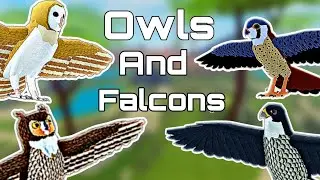 Owls and Falcons update! Part 1 | Feather Family #4k #viral #featherfamily #birds #update #news