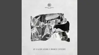 Enhanced Experience (Tamandua Twist Remix)