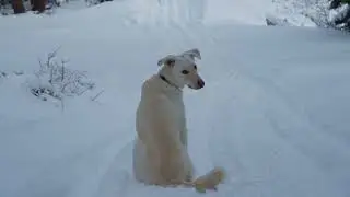 Kirkwood -- California -- Silver Lake -- Christmas 2024