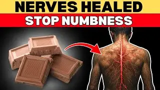 Best Food to Repair Nerve Damage Naturally