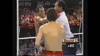 Julio Cesar Chavez vs Rodolfo Aguilar boxing highlights