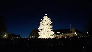 Marist University Tree Lighting Countdown