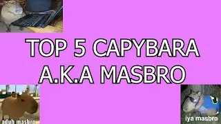 Top 5 Masbro...