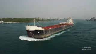 MV American Courage