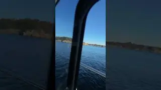 #sei #makrell #farsund #fishing #merryfisher #agn #norway