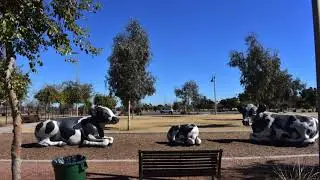 Plan a visit to Cesar Chavez Park in Phoenix, AZ!