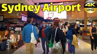 Sydney Walking Tour | Sydney Airport