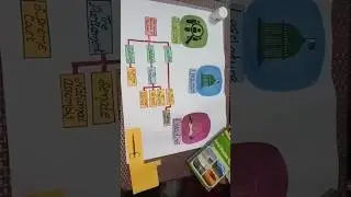 governmental structure of Pakistan school activity school project #schoolproject #schoolactivity
