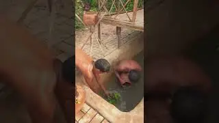 Build Most Craft Bamboo House Villa And Craft BamBoo Swimming Pools ,Fish Pound
