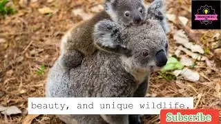 A.D. Hope's 'Australia': Exploring the Depths of Identity and History