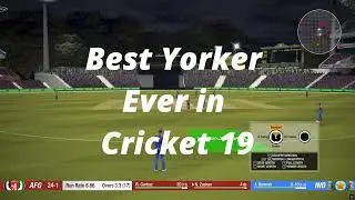 Cricket 19's BEST Yorker Trick Revealed | IMxHarsh Gaming