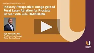 Industry Perspective: Image-guided Focal Laser Ablation for Prostate Cancer with CLS-TRANBERG