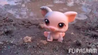 Lps photography