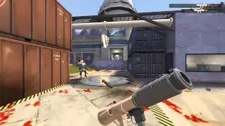 Zbryan vs mixup